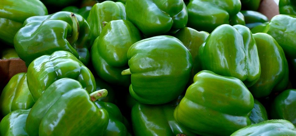 POIVRON VERT - 300 g - 4,70 € kg -